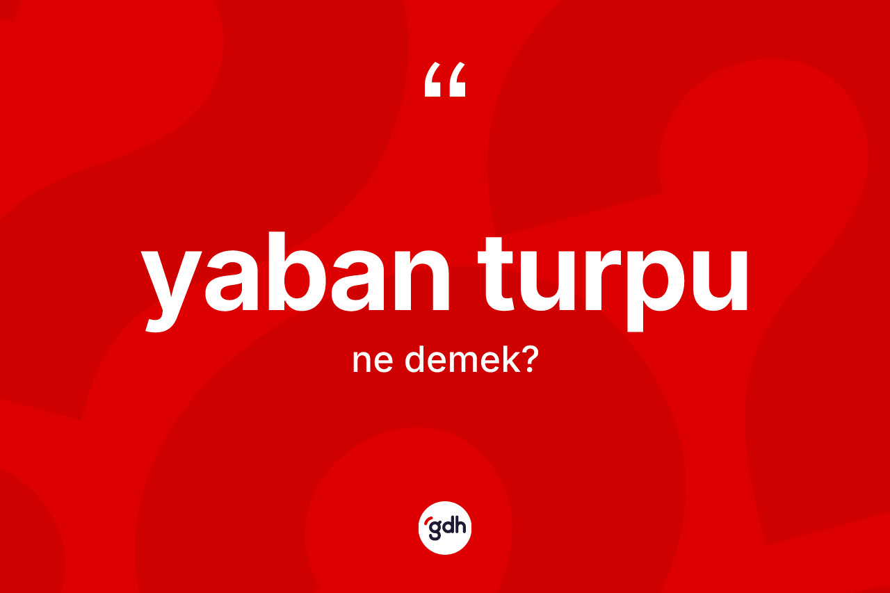 Yaban turpu nedir?