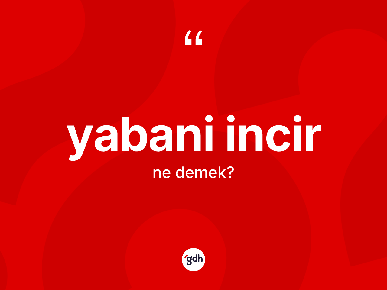 Yabani incir kelimesinin anlamı nedir? Yabani incir kelimesinin TDK anlamı nedir?
