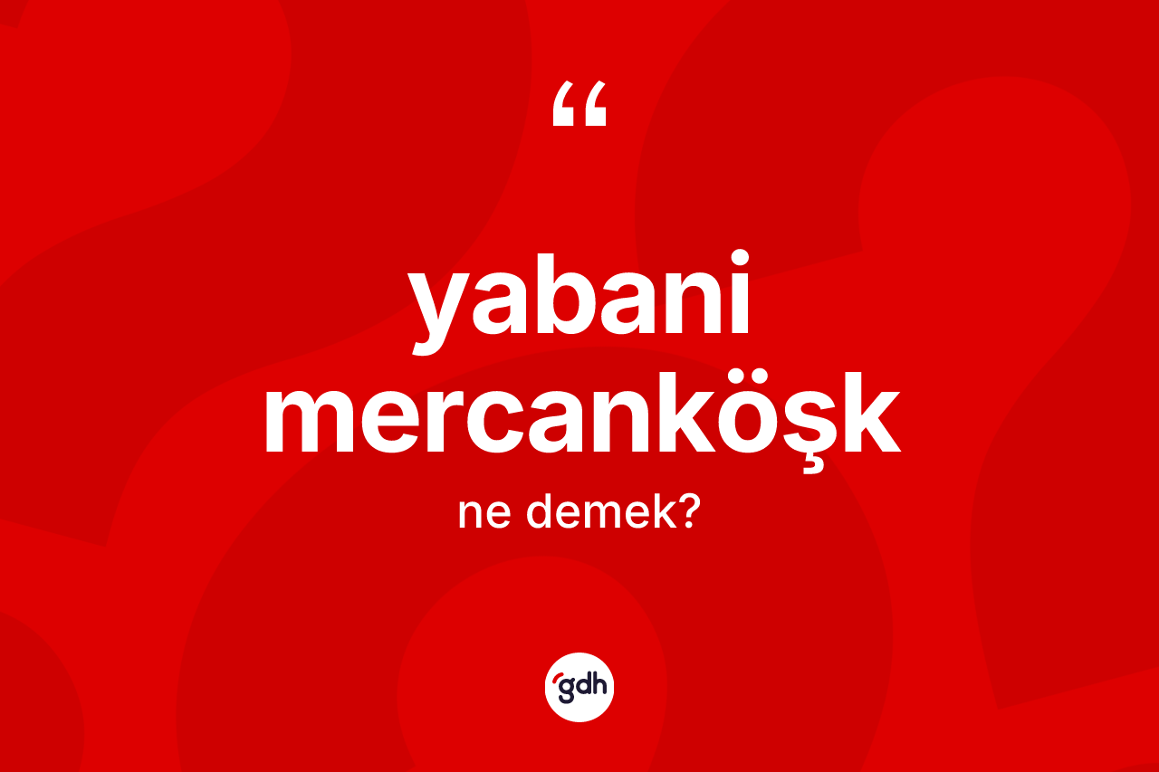Yabani mercanköşk ne anlama gelir?