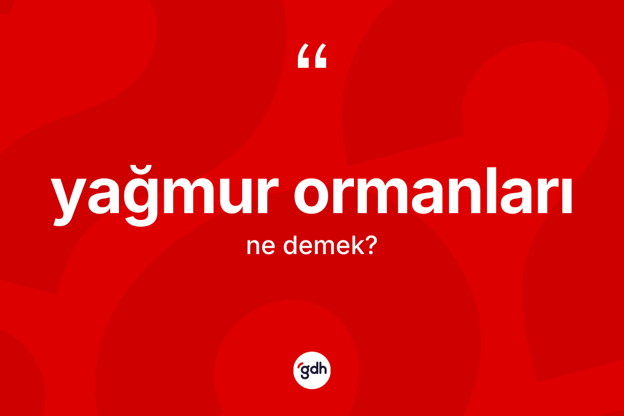 Yağmur ormanları kelimesinin sözlükteki tanımı nedir? Yağmur ormanları kelimesinin TDK'ya göre açıklaması nedir?