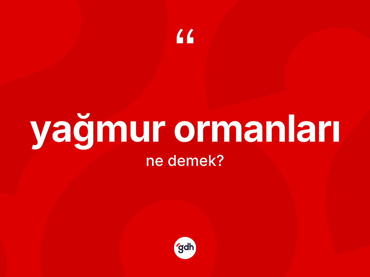 Yağmur ormanları kelimesinin sözlükteki tanımı nedir? Yağmur ormanları kelimesinin TDK'ya göre açıklaması nedir?