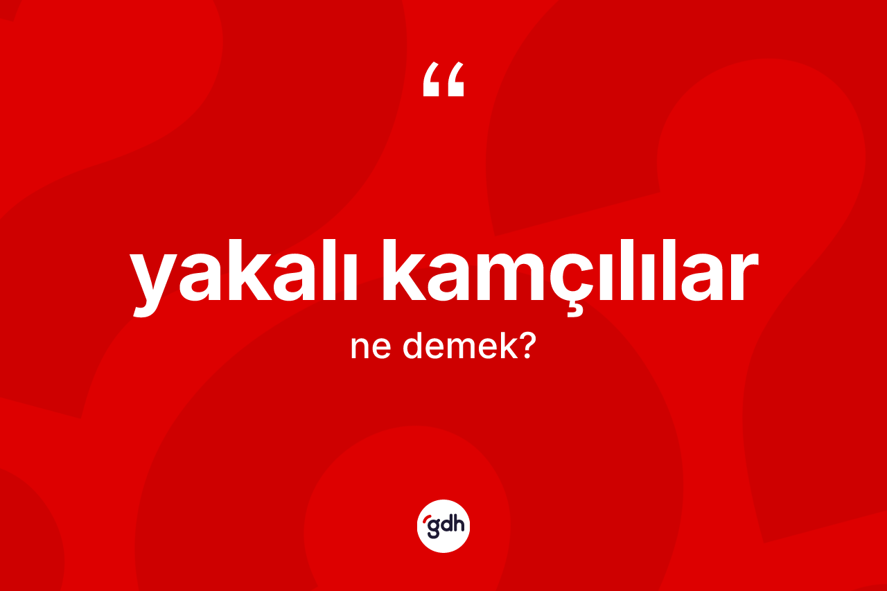 Yakalı kamçılılar kelimesinin anlamı nedir?
