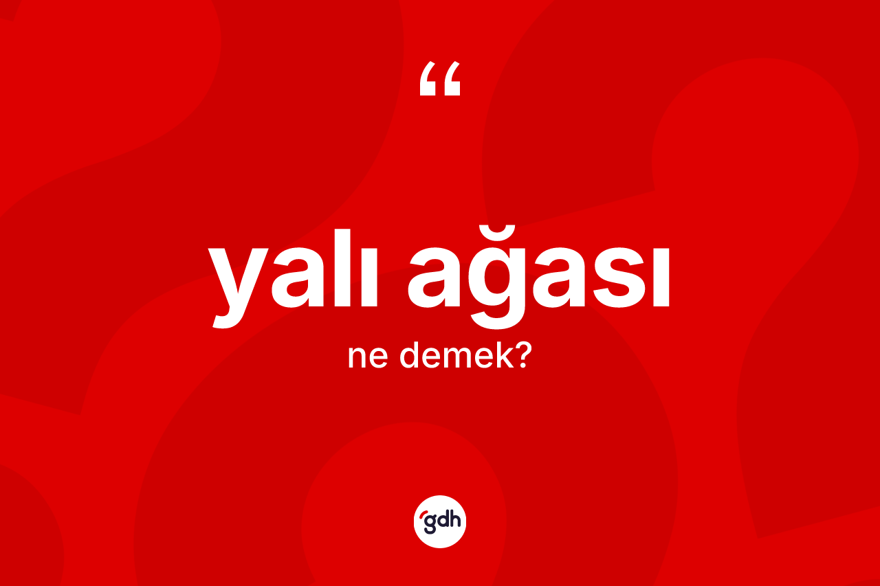 Yalı ağası kelimesi ne demek? Yalı ağası kelimesinin TDK'ya göre açıklaması nedir?
