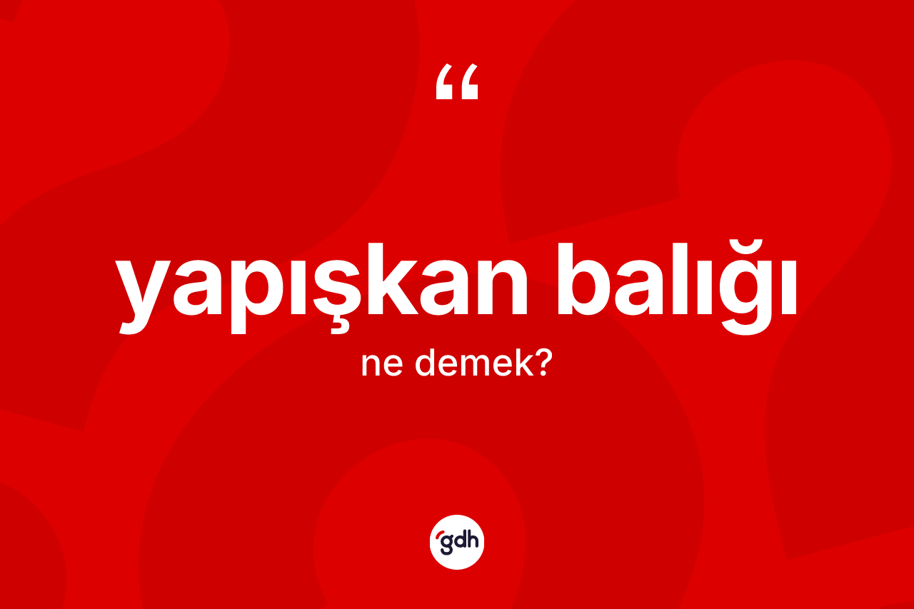 Yapışkan balığı ne demek? Yapışkan balığı kelimesinin kaç farklı anlamı var?