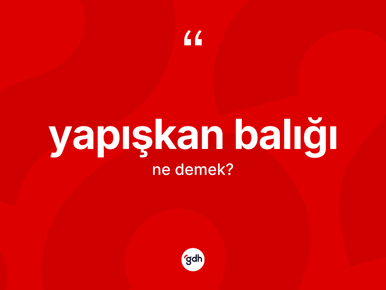 Yapışkan balığı ne demek? Yapışkan balığı kelimesinin kaç farklı anlamı var?