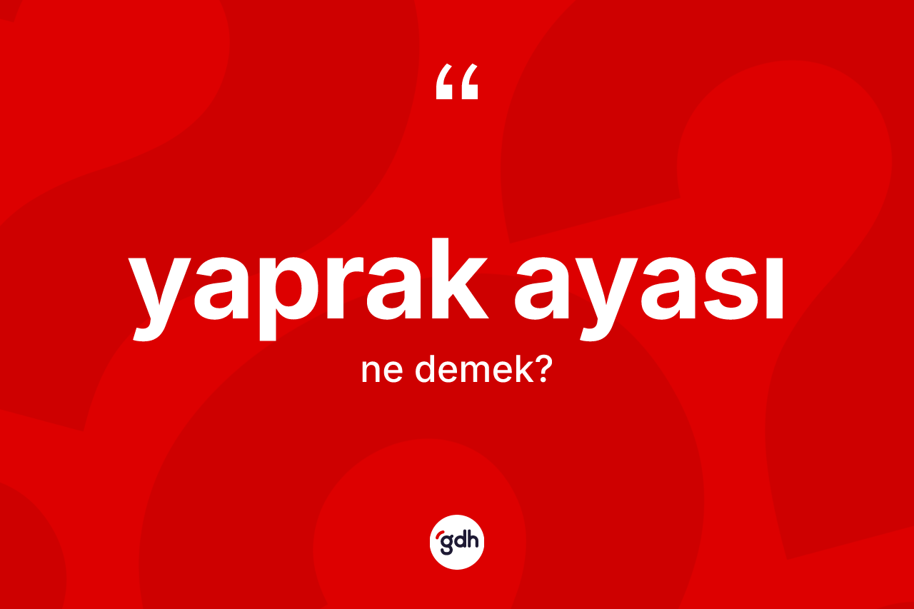 Yaprak ayası kelimesinin anlamı nedir?