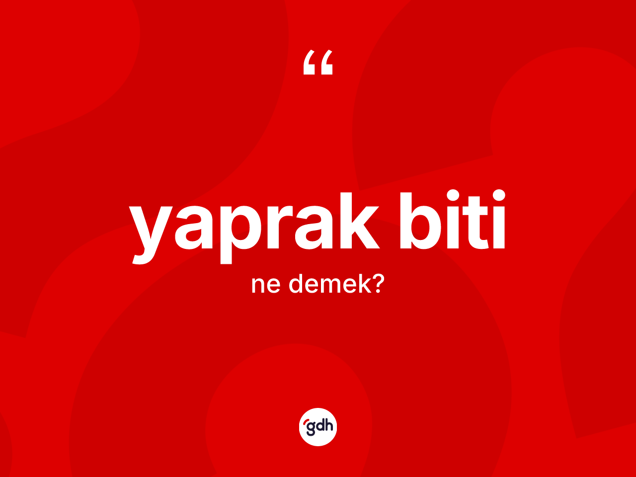 Yaprak biti kelimesinin sözlükteki tanımı nedir? Yaprak bitinin halk arasındaki kullanımı nasıldır?