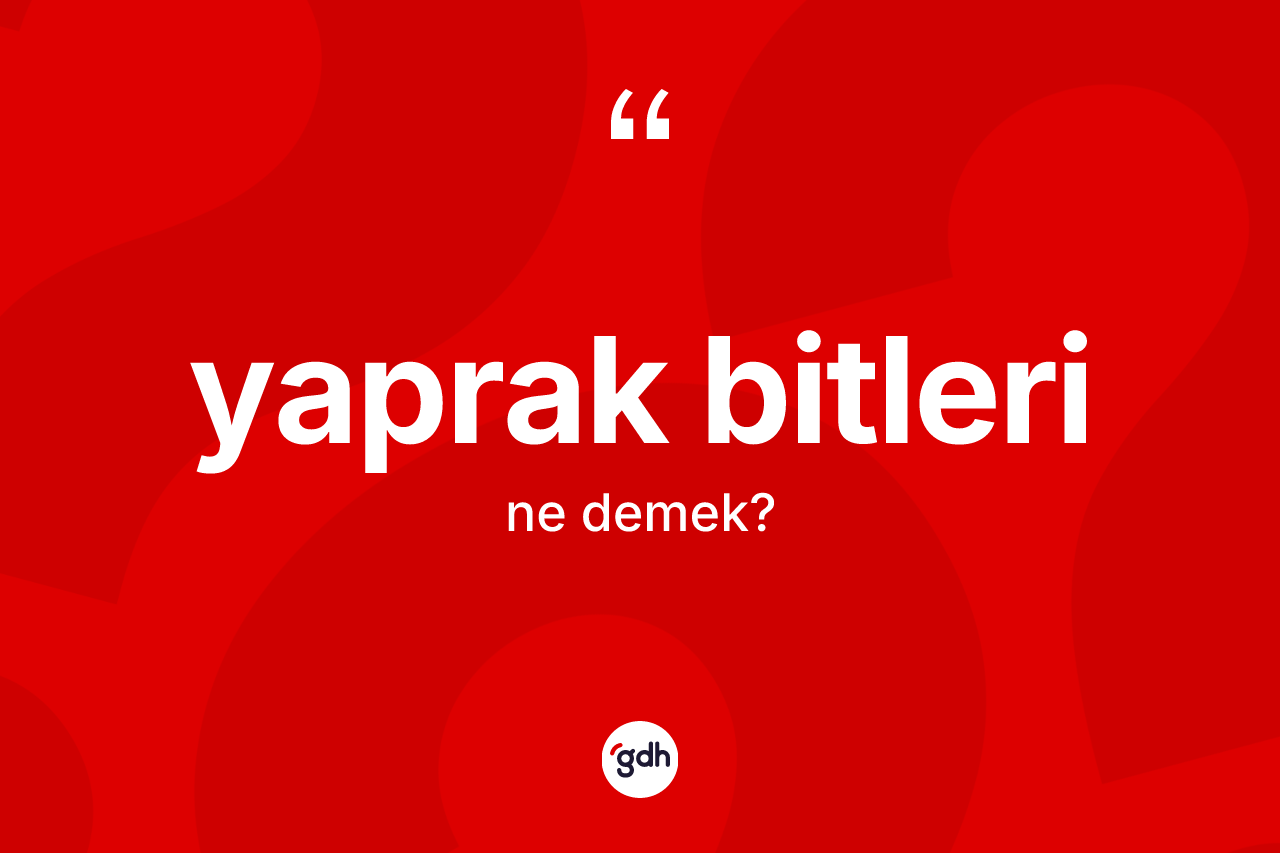 Yaprak bitleri kelimesinin sözlükteki tanımı nedir?