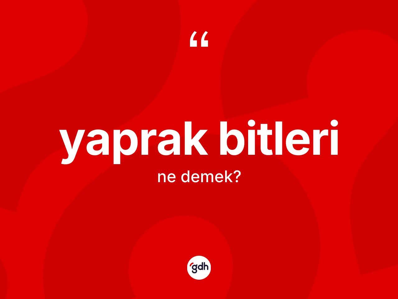 Yaprak bitleri kelimesinin sözlükteki tanımı nedir? Yaprak bitleri kelimesinin özellikleri nelerdir?