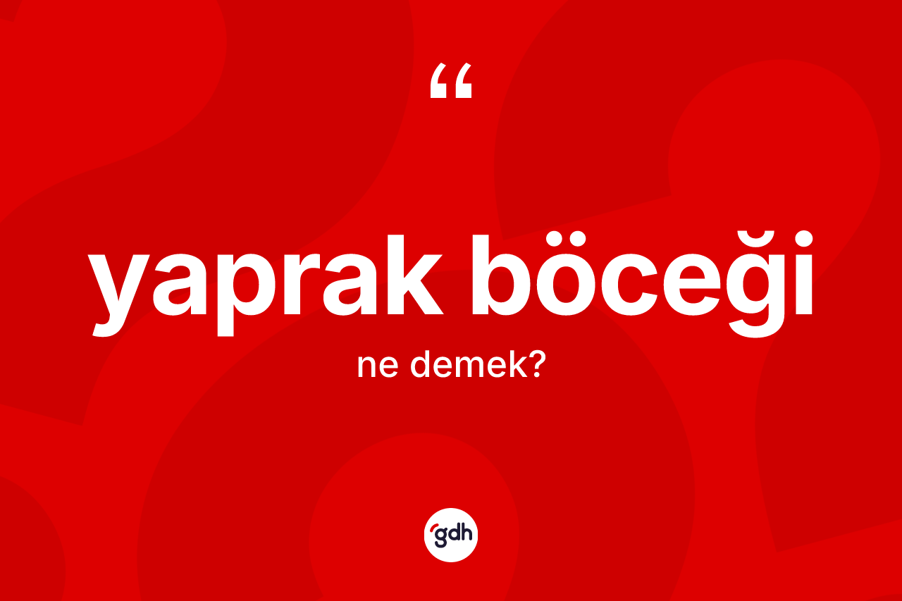Yaprak böceği kelimesinin tanımı nedir?