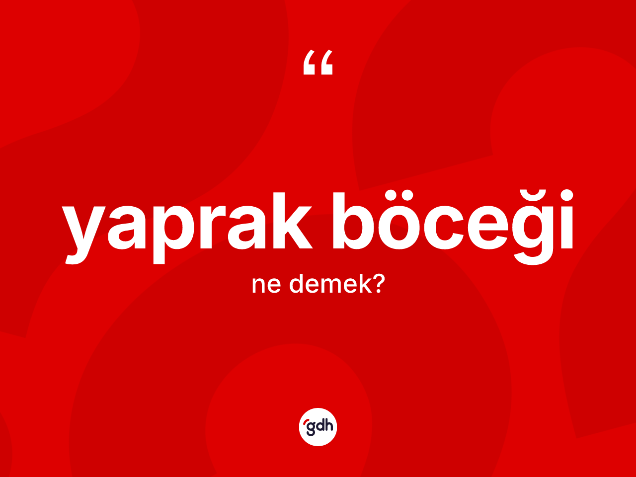 Yaprak böceği kelimesinin tanımı nedir? Yaprak böceği kelimesinin özellikleri nelerdir?