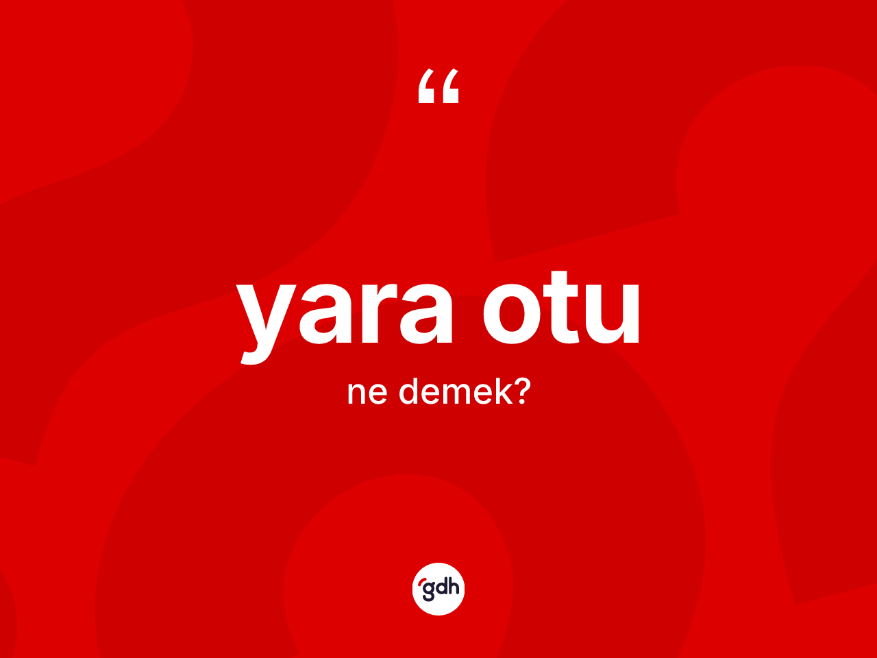 Yara otu ne anlama gelir? Yara otunun kısaca tanımı nedir?
