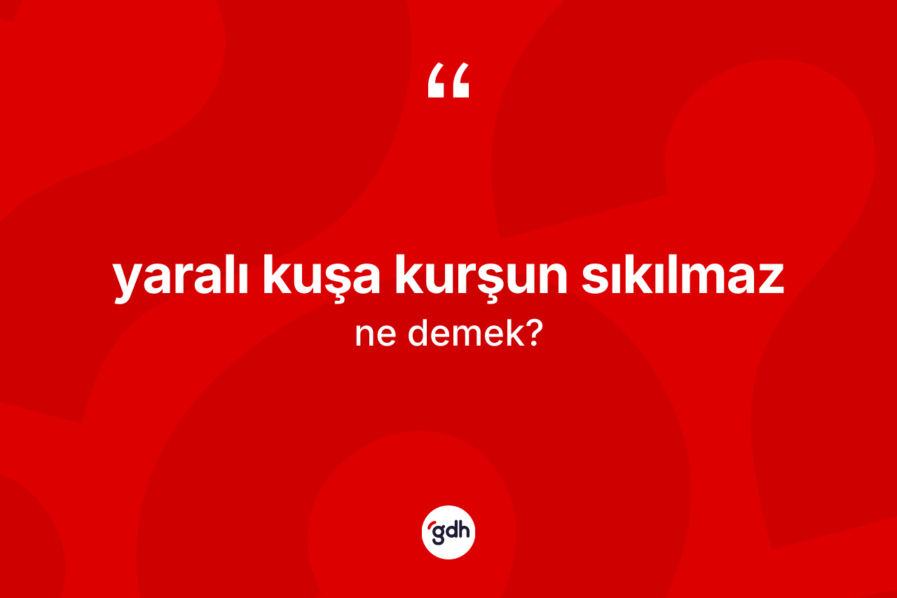 Yaralı kuşa kurşun sıkılmaz nedir?