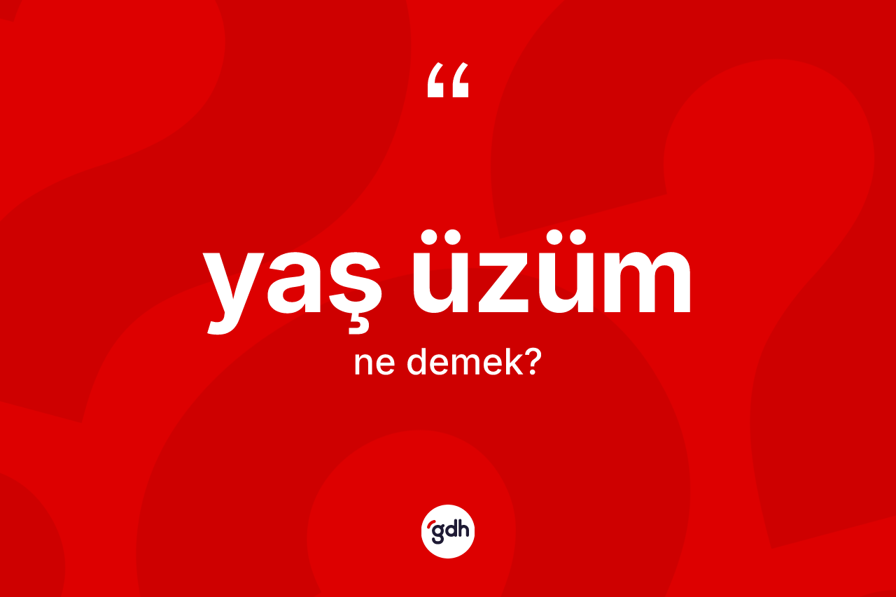Yaş üzüm kelimesi ne anlama gelir? Yaş üzüm kelimesinin TDK'ya göre açıklaması nedir?