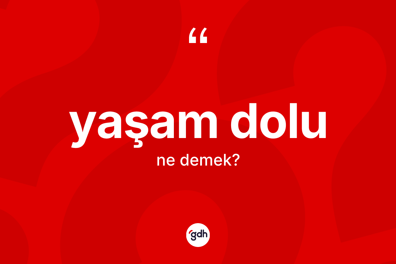 Yaşam dolu kelimesinin tanımı nedir? Yaşam dolunun TDK'ya göre anlamı nedir?