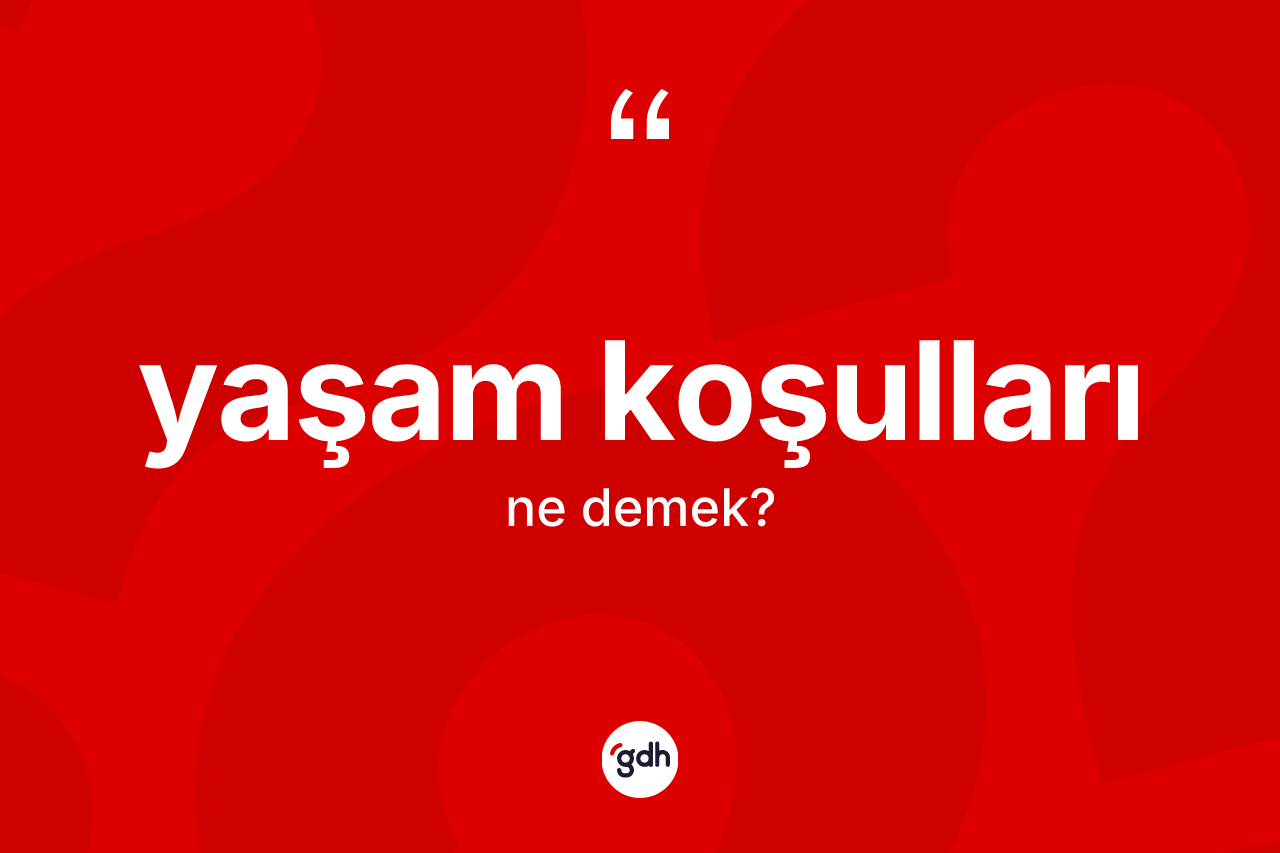 Yaşam koşulları kelimesinin sözlükteki tanımı nedir? Yaşam koşulları kelimesinin TDK anlamı nedir?