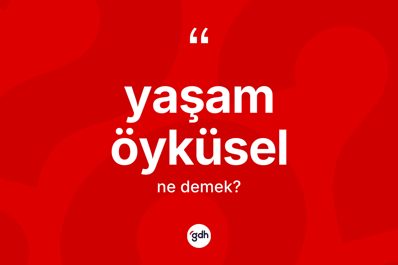 Yaşam öyküsel ne demek?