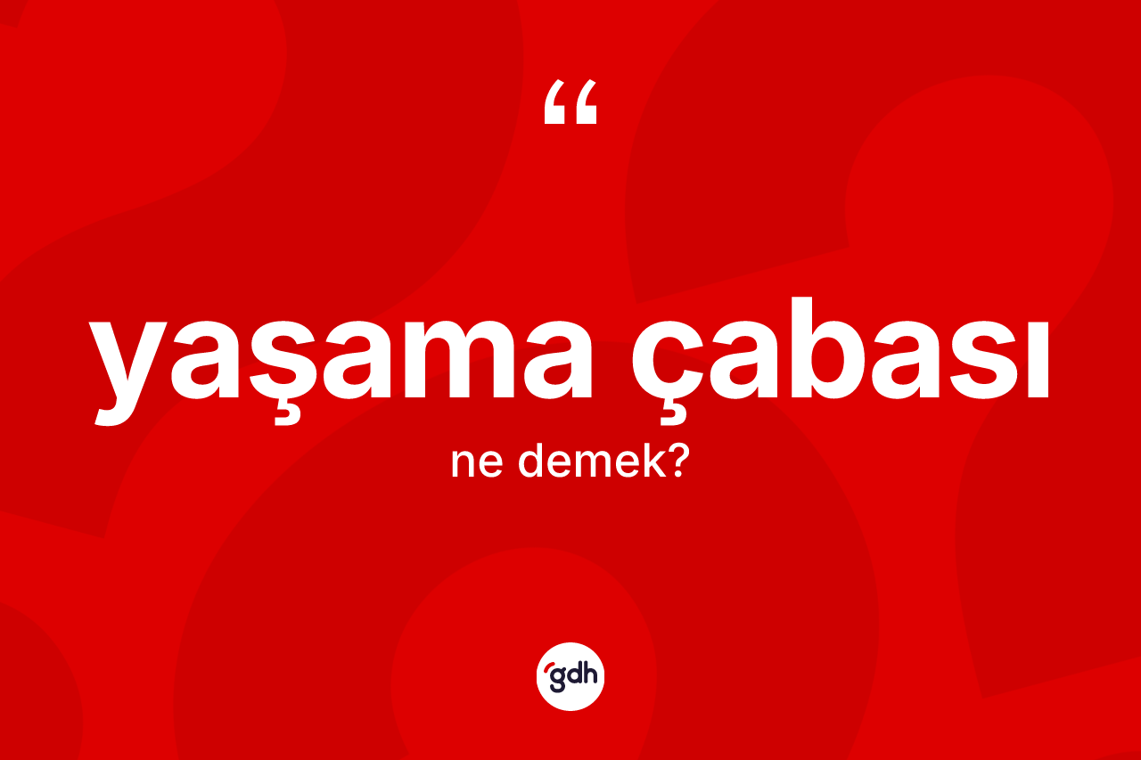 Yaşama çabası ne demek?