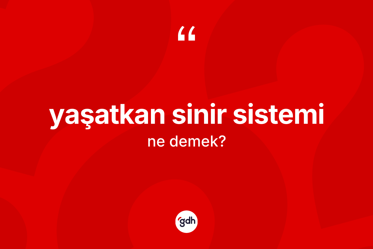 Yaşatkan sinir sistemi kelimesinin sözlükteki tanımı nedir?