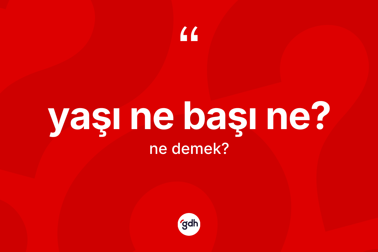 Yaşı ne başı ne? ne demek? Yaşı ne başı ne? sözünün sözlük anlamı nedir?