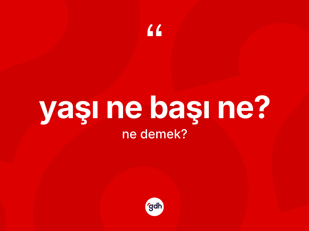 Yaşı ne başı ne? ne demek? Yaşı ne başı ne? sözünün sözlük anlamı nedir?