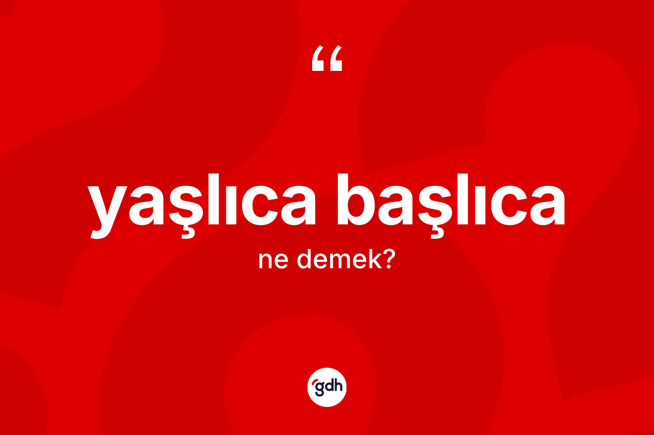 Yaşlıca başlıca kelimesinin tanımı nedir? Yaşlıca başlıcanın TDK'ya göre anlamı nedir?