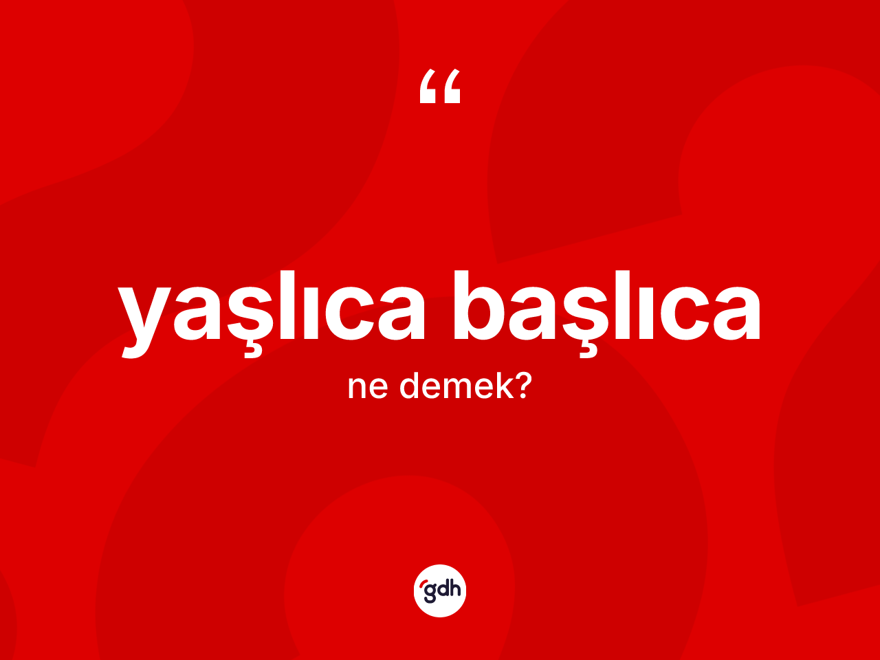 Yaşlıca başlıca kelimesinin tanımı nedir? Yaşlıca başlıcanın TDK'ya göre anlamı nedir?