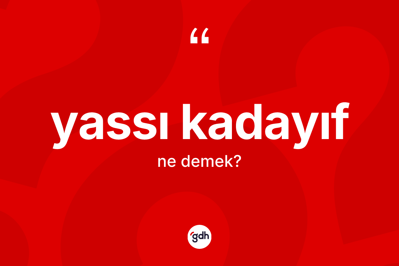 Yassı kadayıf kelimesi ne demek? Yassı kadayıfın TDK'ya göre anlamı nedir?