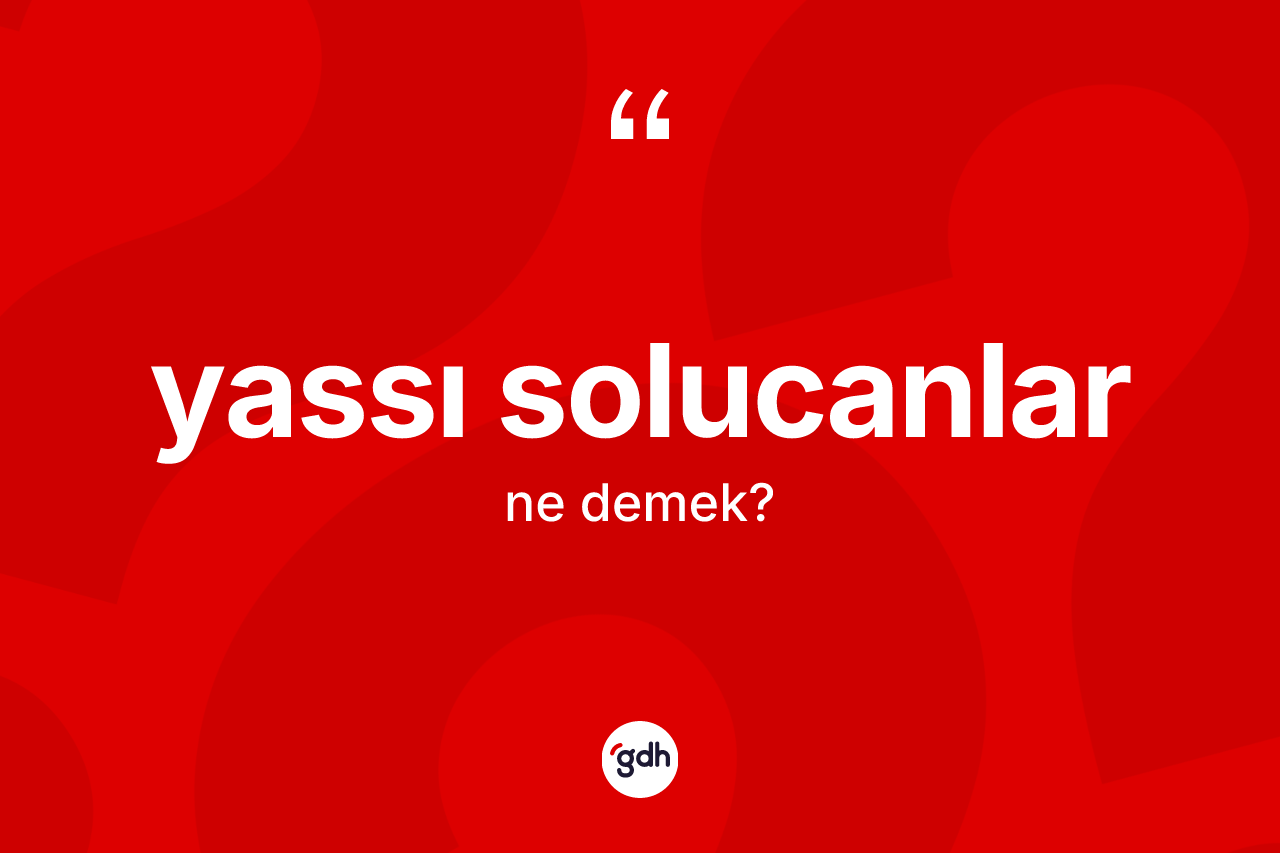 Yassı solucanlar ne anlama gelir? Yassı solucanlar kelimesinin TDK'ya göre açıklaması nedir?