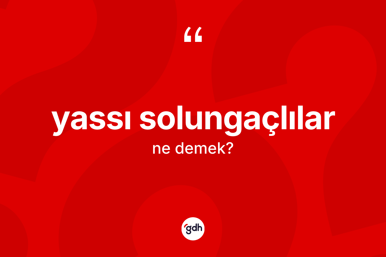 Yassı solungaçlılar kelimesinin tanımı nedir?