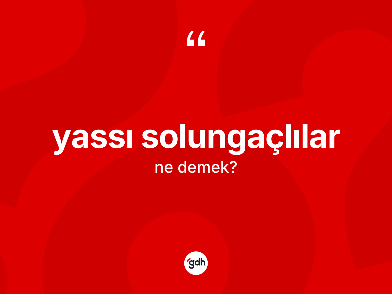Yassı solungaçlılar kelimesinin tanımı nedir? Yassı solungaçlıların halk arasındaki kullanımı nasıldır?