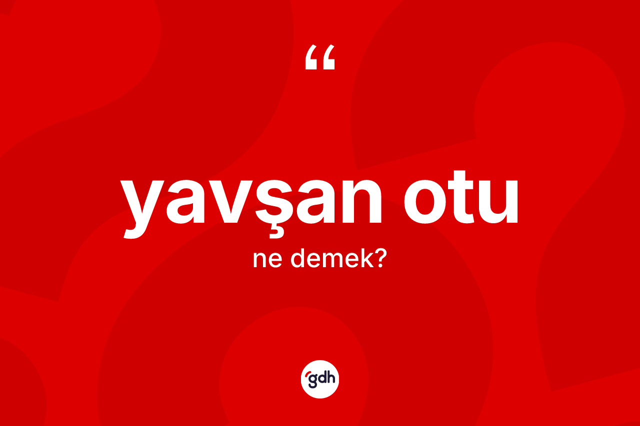 Yavşan otu kelimesi ne anlama gelir? Yavşan otunun TDK'ya göre anlamı nedir?