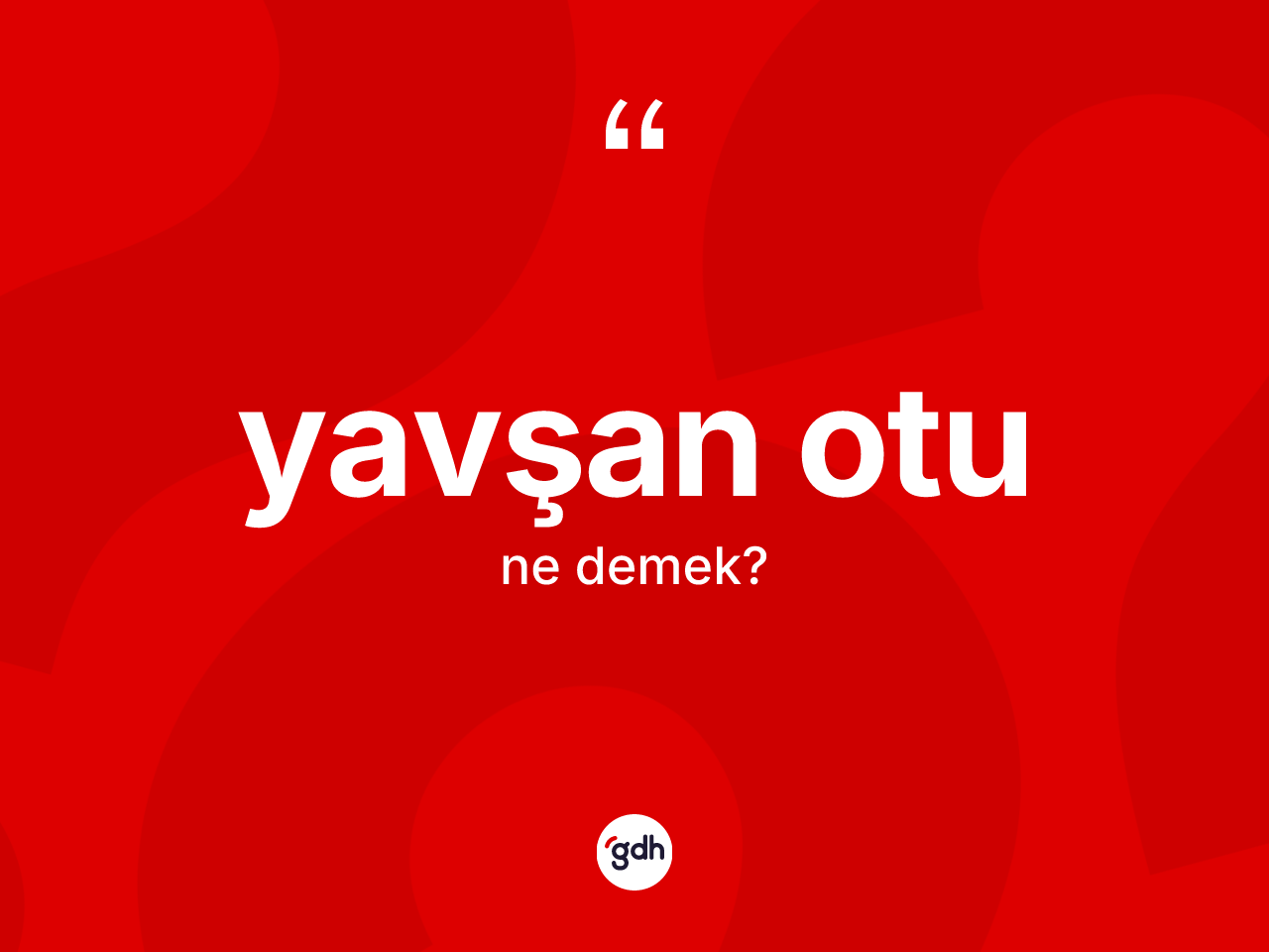 Yavşan otu kelimesi ne anlama gelir? Yavşan otunun TDK'ya göre anlamı nedir?