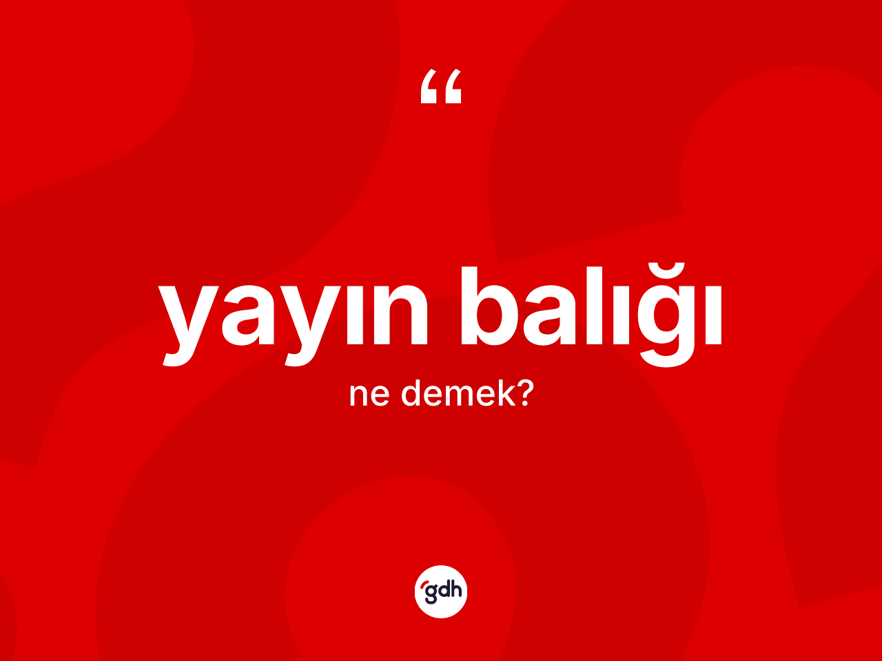 Yayın balığı kelimesi ne demek? Yayın balığının TDK'ya göre anlamı nedir?
