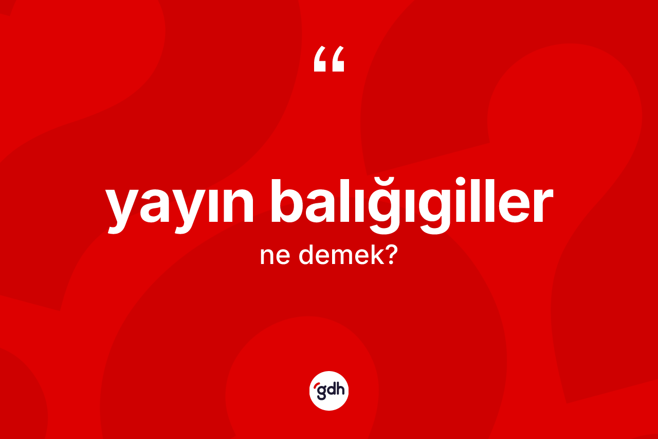 Yayın balığıgiller ne anlama gelir? Yayın balığıgiller kelimesinin kaç farklı anlamı var?