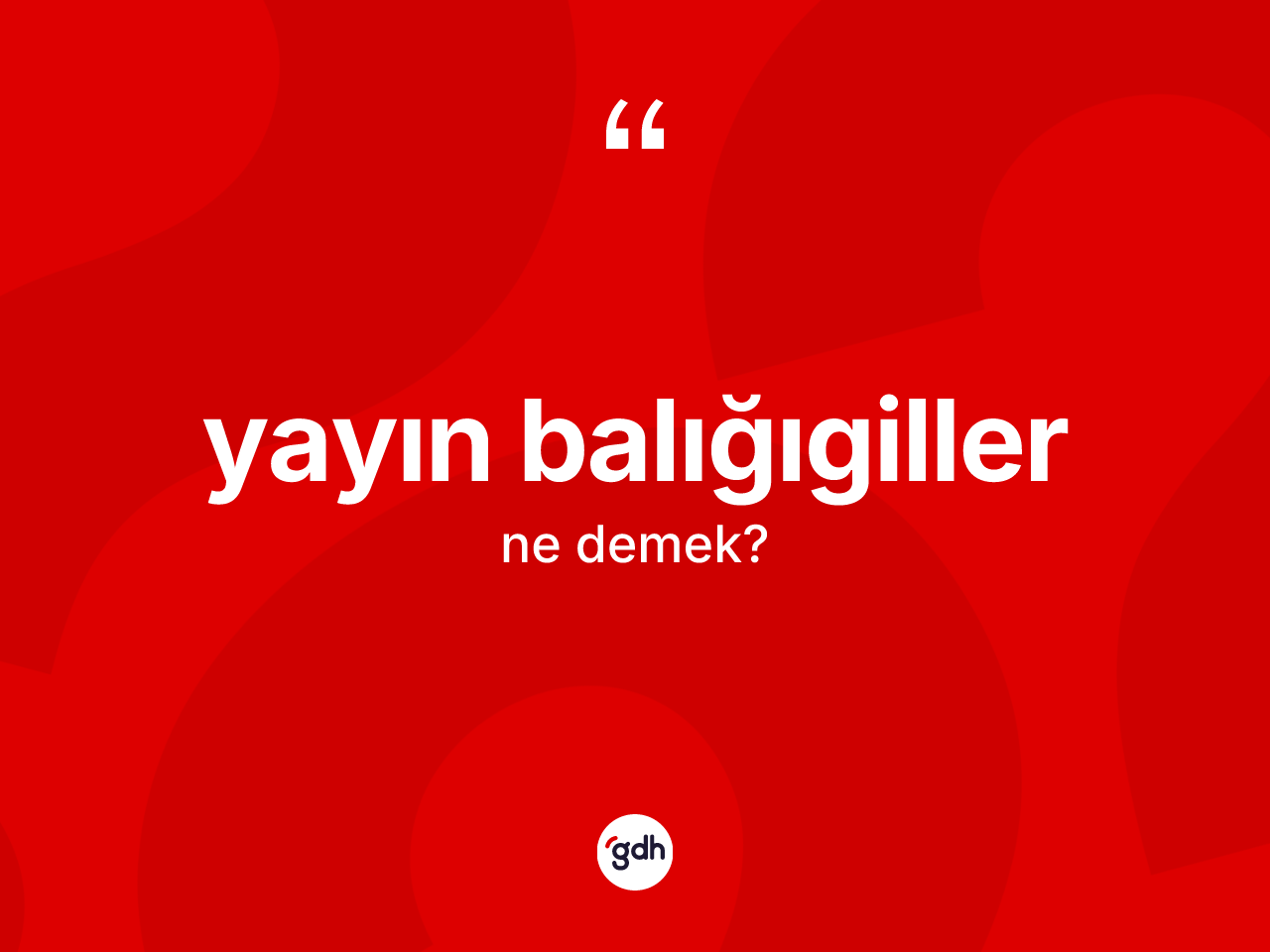 Yayın balığıgiller ne anlama gelir? Yayın balığıgiller kelimesinin kaç farklı anlamı var?