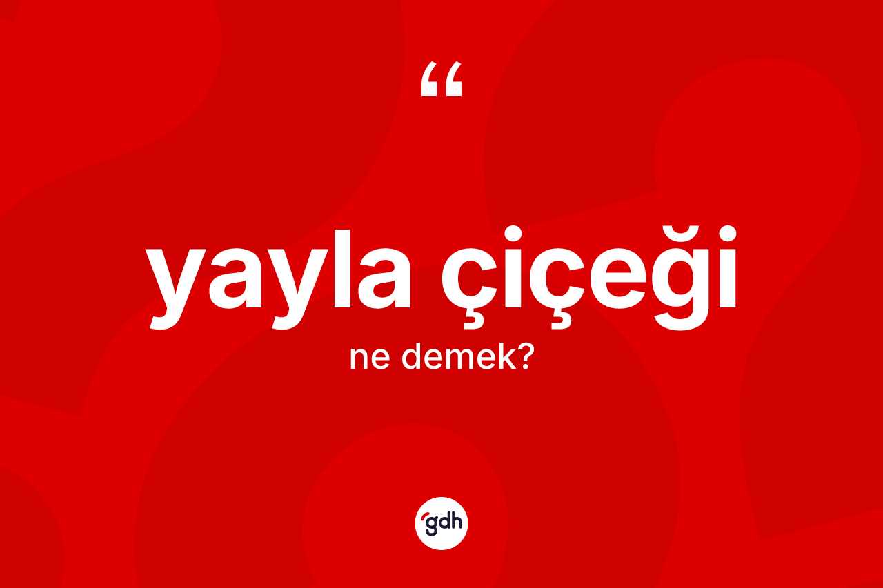 Yayla çiçeği kelimesi ne demek? Yayla çiçeği kelimesinin özellikleri nelerdir?