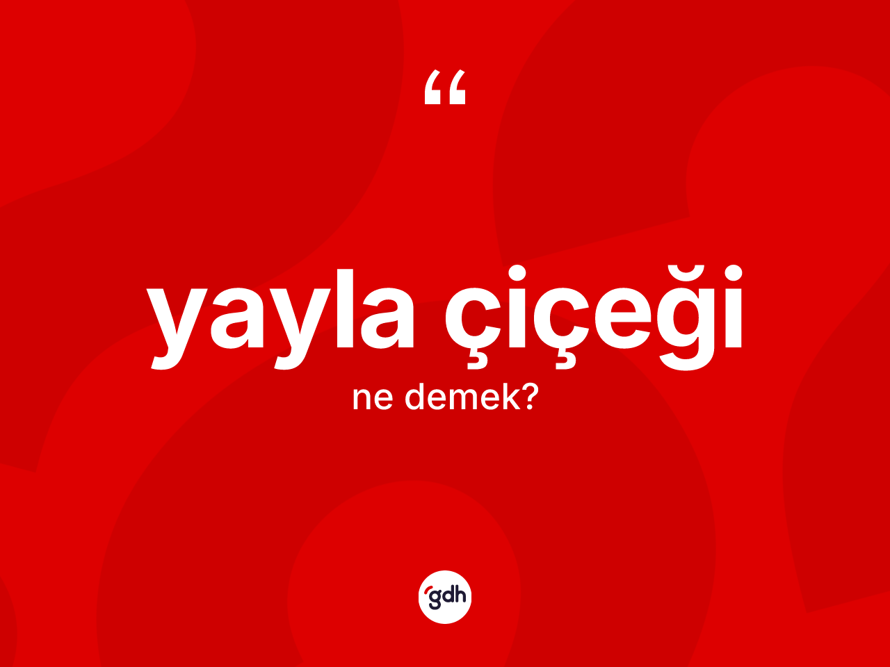 Yayla çiçeği kelimesi ne demek? Yayla çiçeği kelimesinin özellikleri nelerdir?