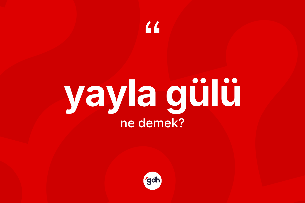 Yayla gülü nedir? Yayla gülü kelimesinin kaç farklı anlamı var?