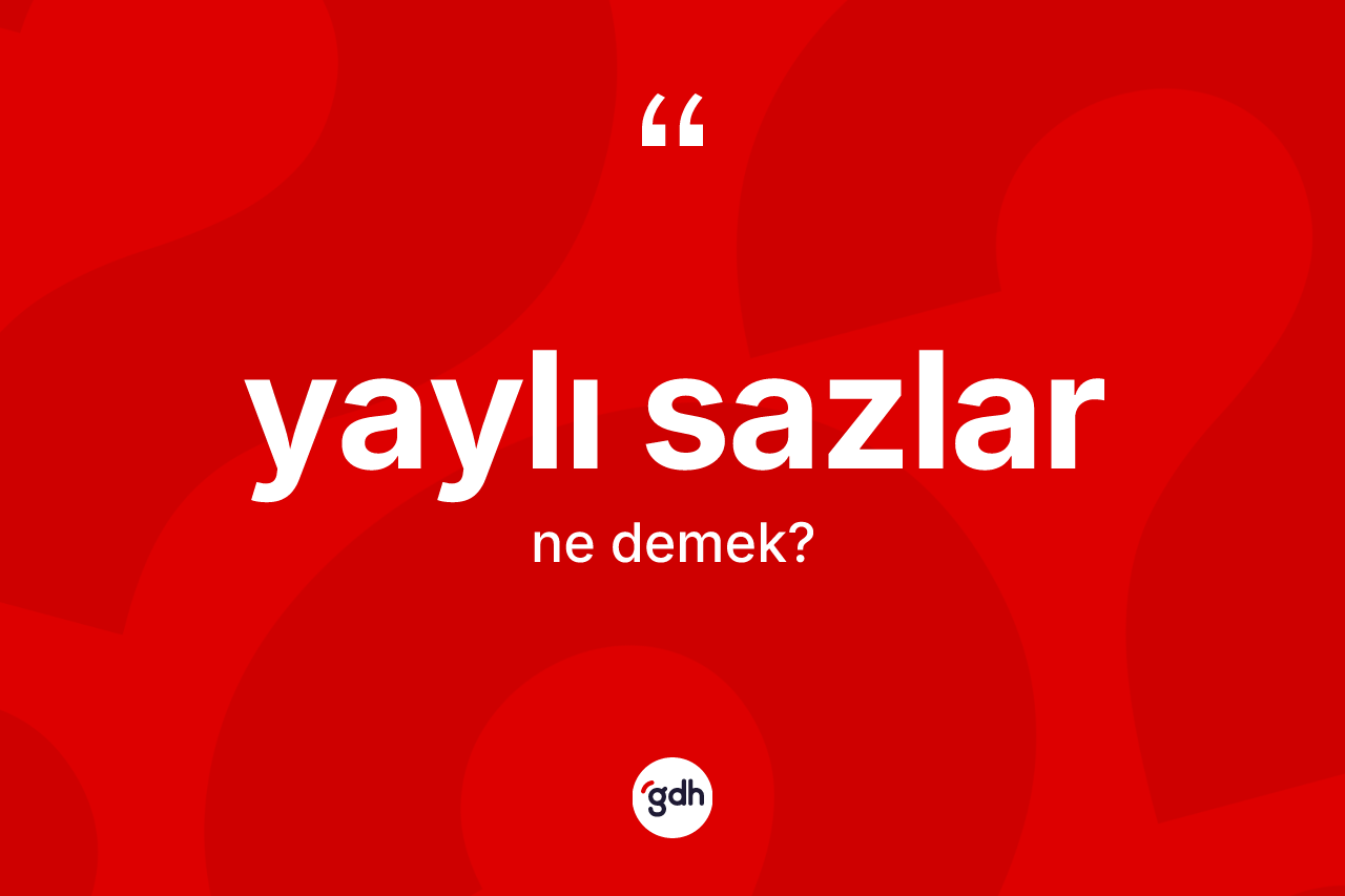Yaylı sazlar kelimesinin sözlükteki tanımı nedir?