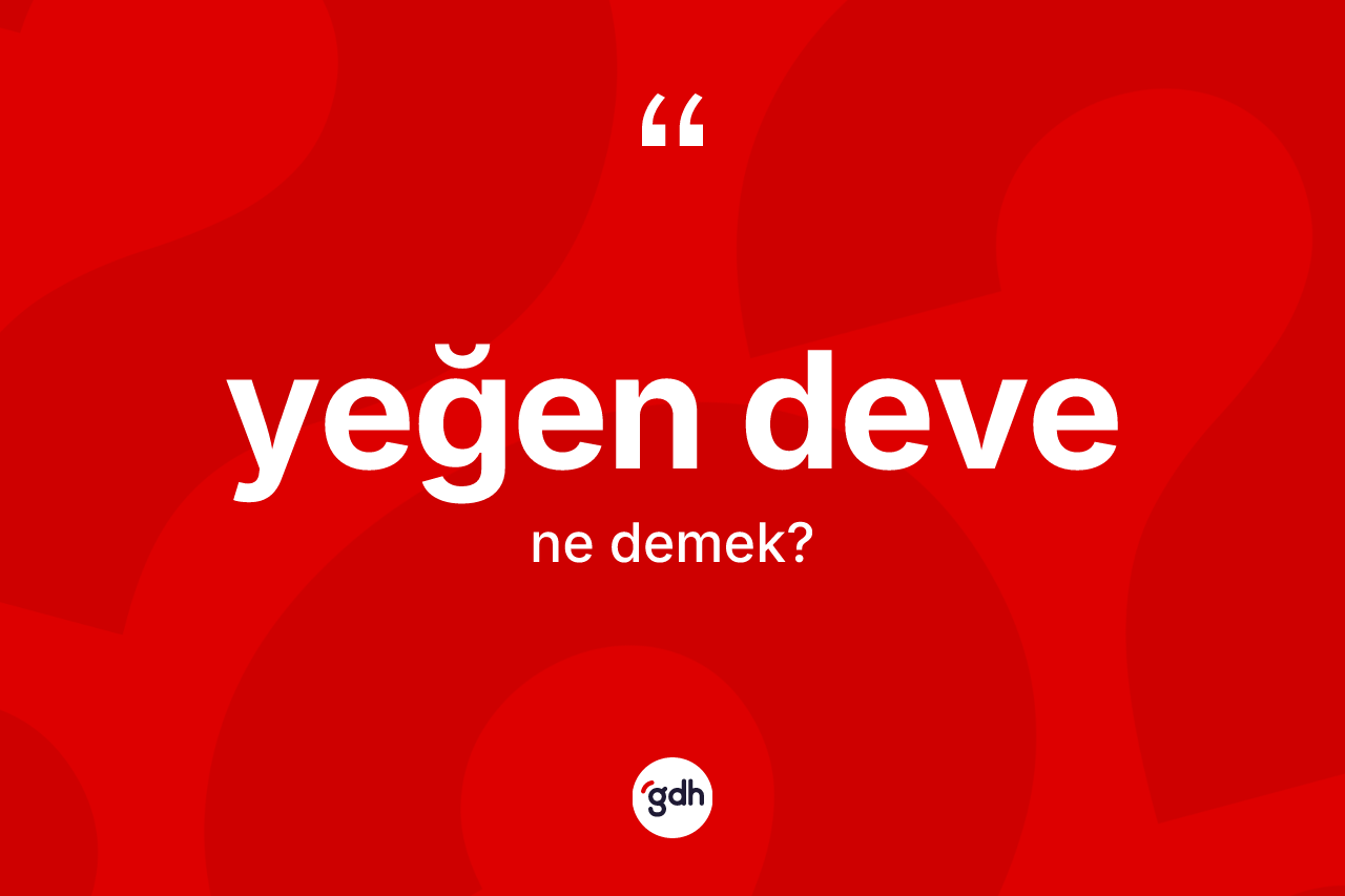 Yeğen deve kelimesi nedir?