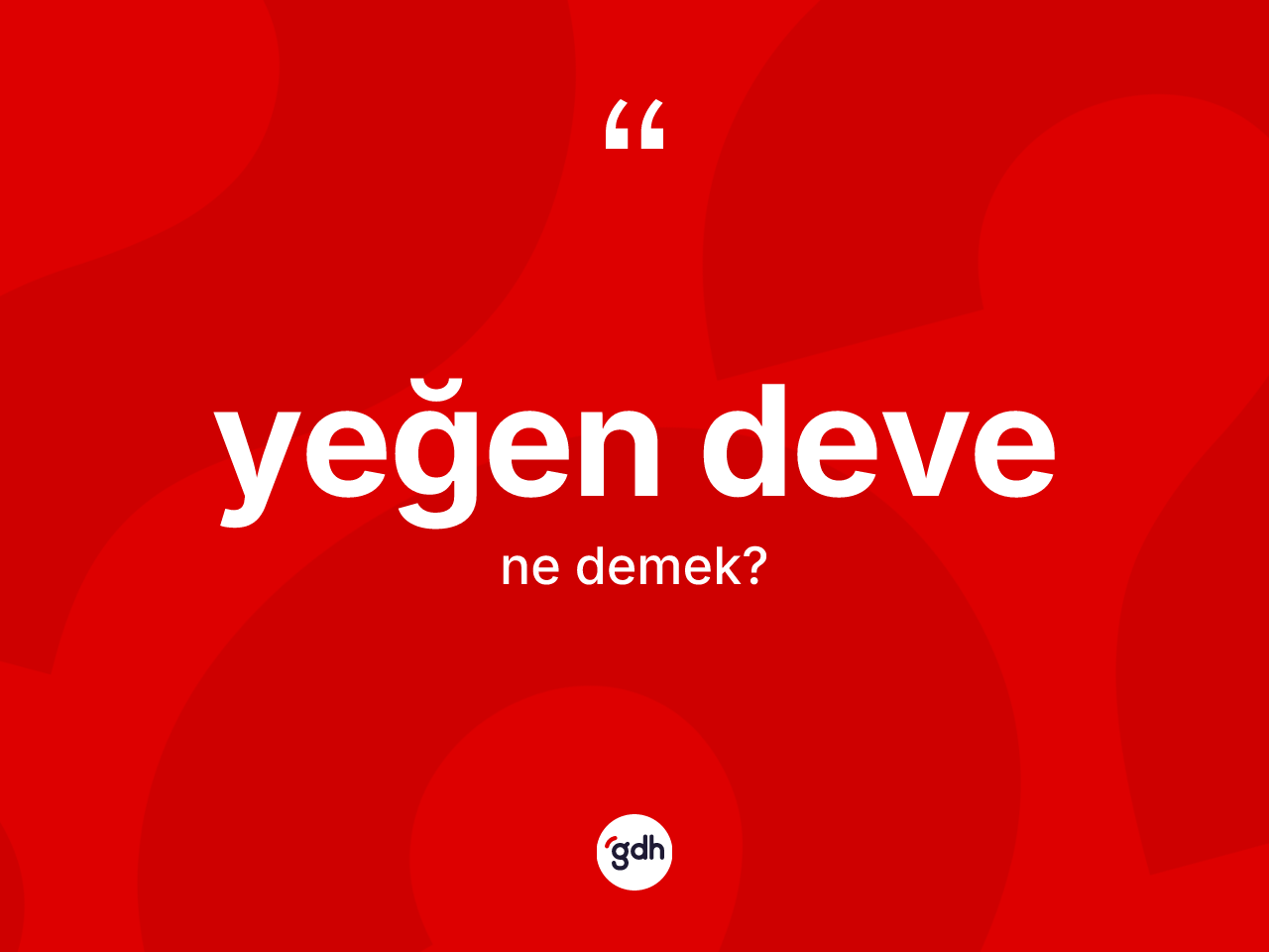 Yeğen deve kelimesi nedir? Yeğen deve kelimesinin özellikleri nelerdir?