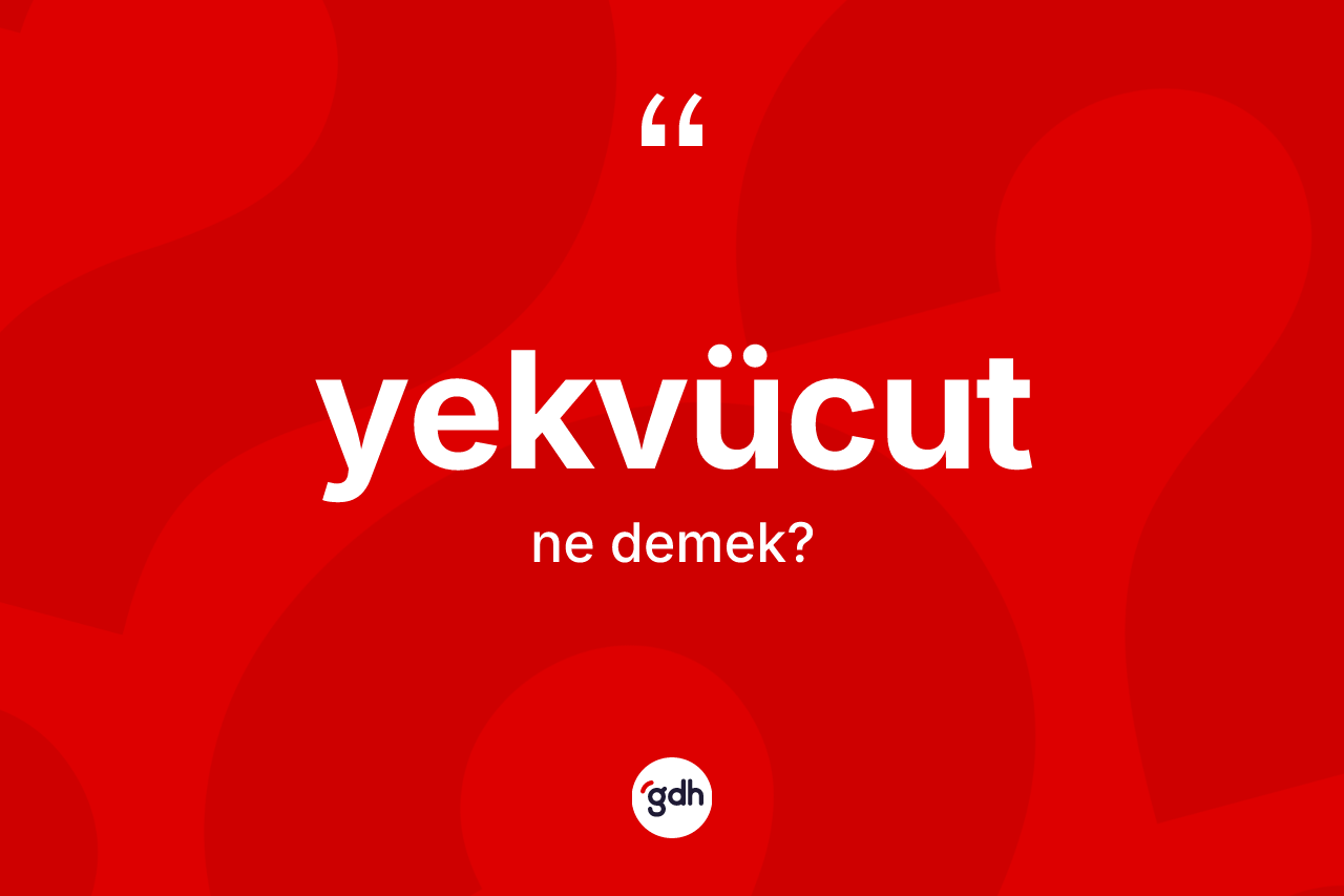 Yekvücut kelimesinin tanımı nedir? Yekvücut kelimesinin kaç farklı anlamı var?