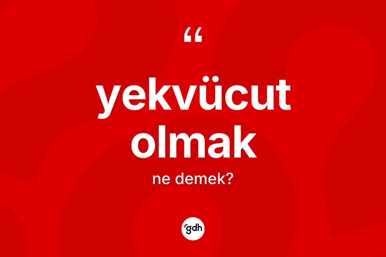 Yekvücut olmak sözü ne demektir? Yekvücut olmak ifadesinin TDK'ya göre anlamı nedir?