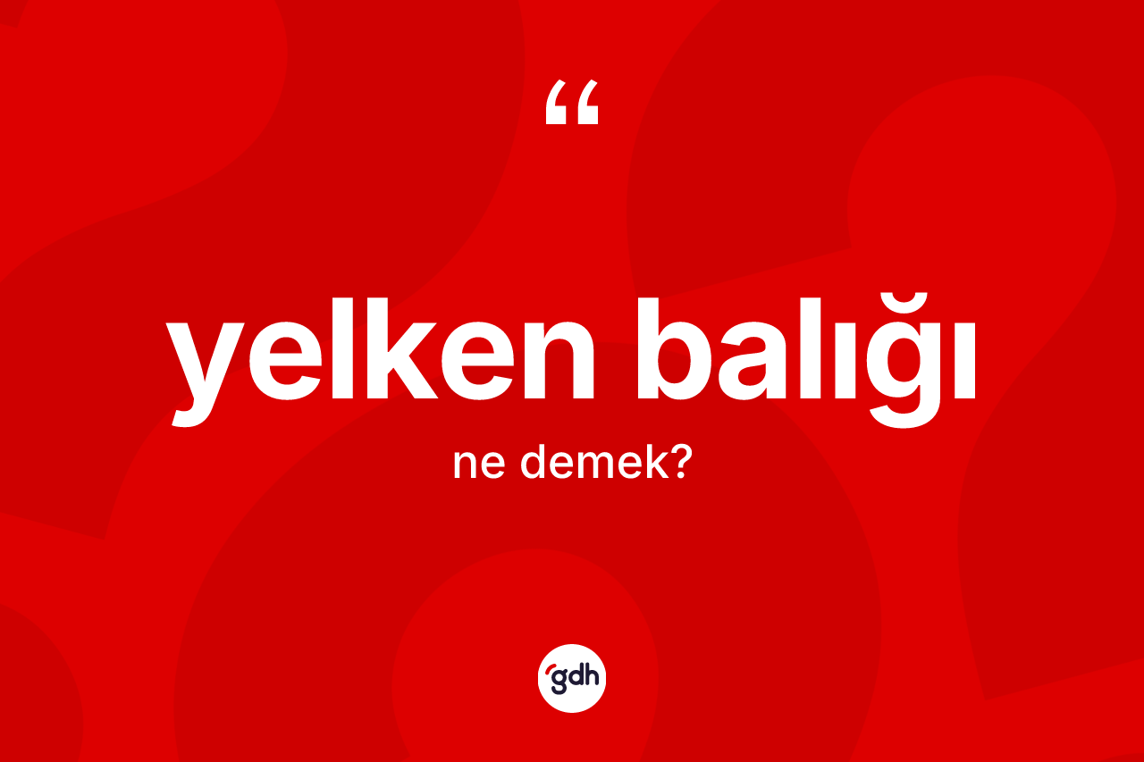 Yelken balığı kelimesi ne anlama gelir?