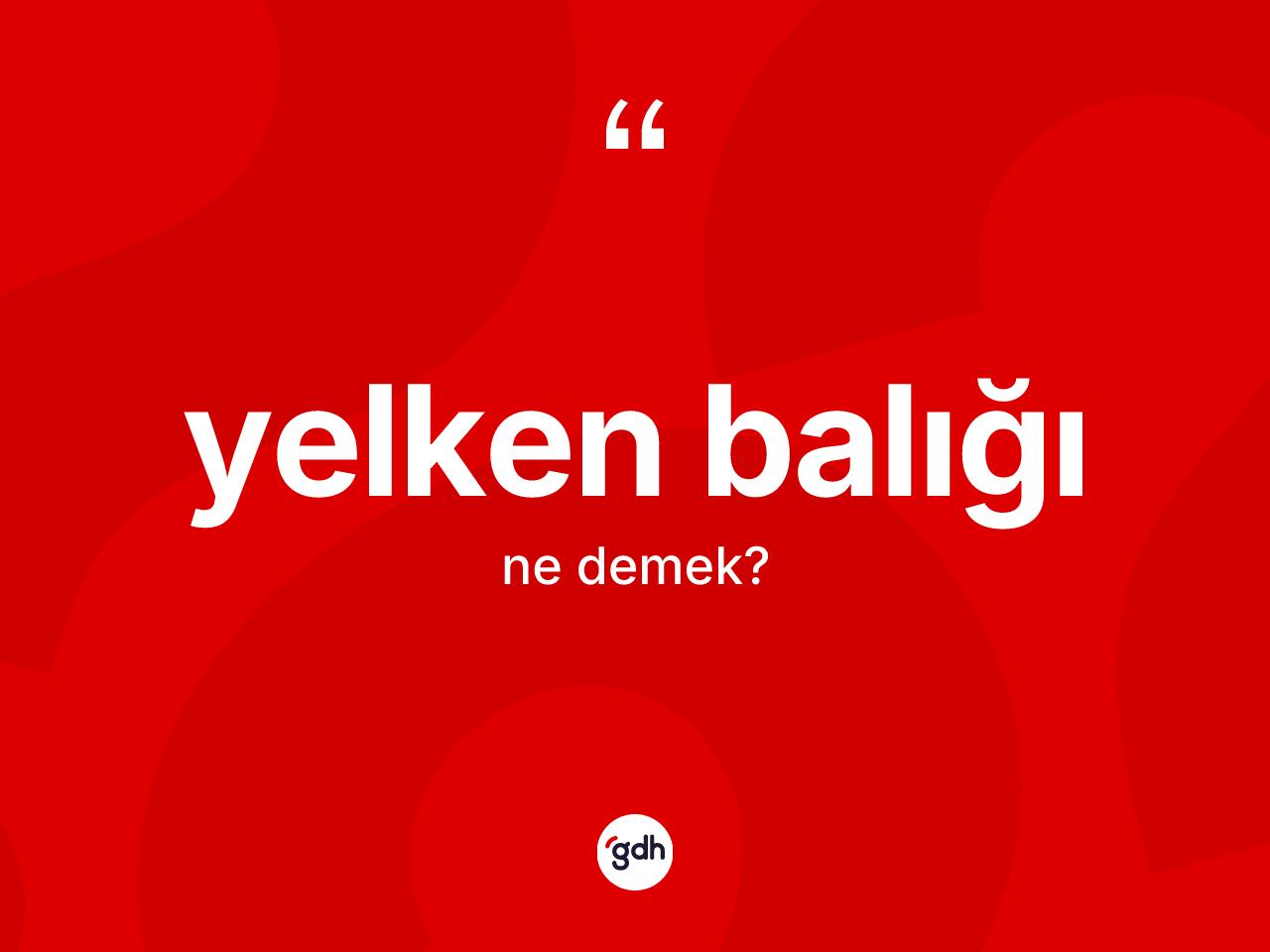 Yelken balığı kelimesi ne anlama gelir? Yelken balığının halk arasındaki kullanımı nasıldır?