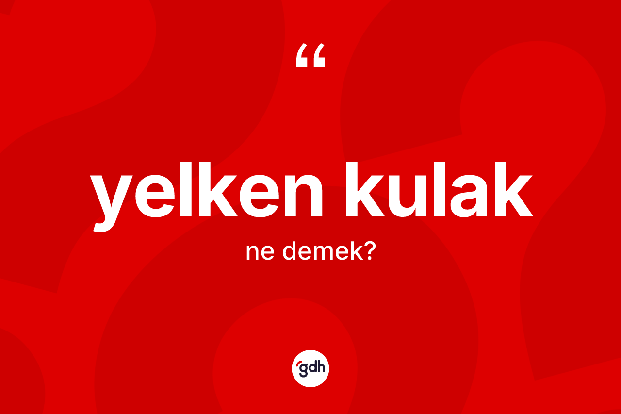 Yelken kulak kelimesi nedir? Yelken kulak kelimesinin özellikleri nelerdir?