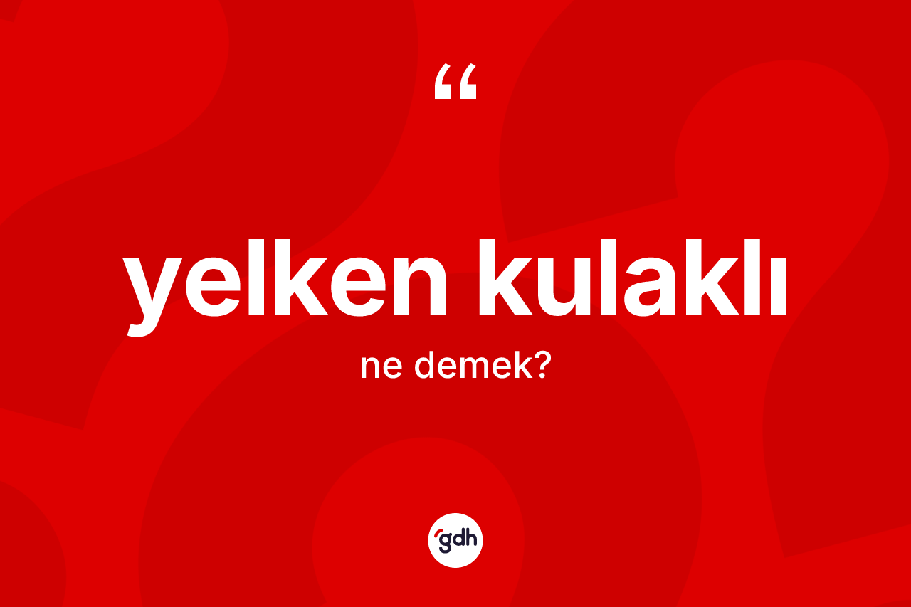 Yelken kulaklı kelimesinin tanımı nedir?