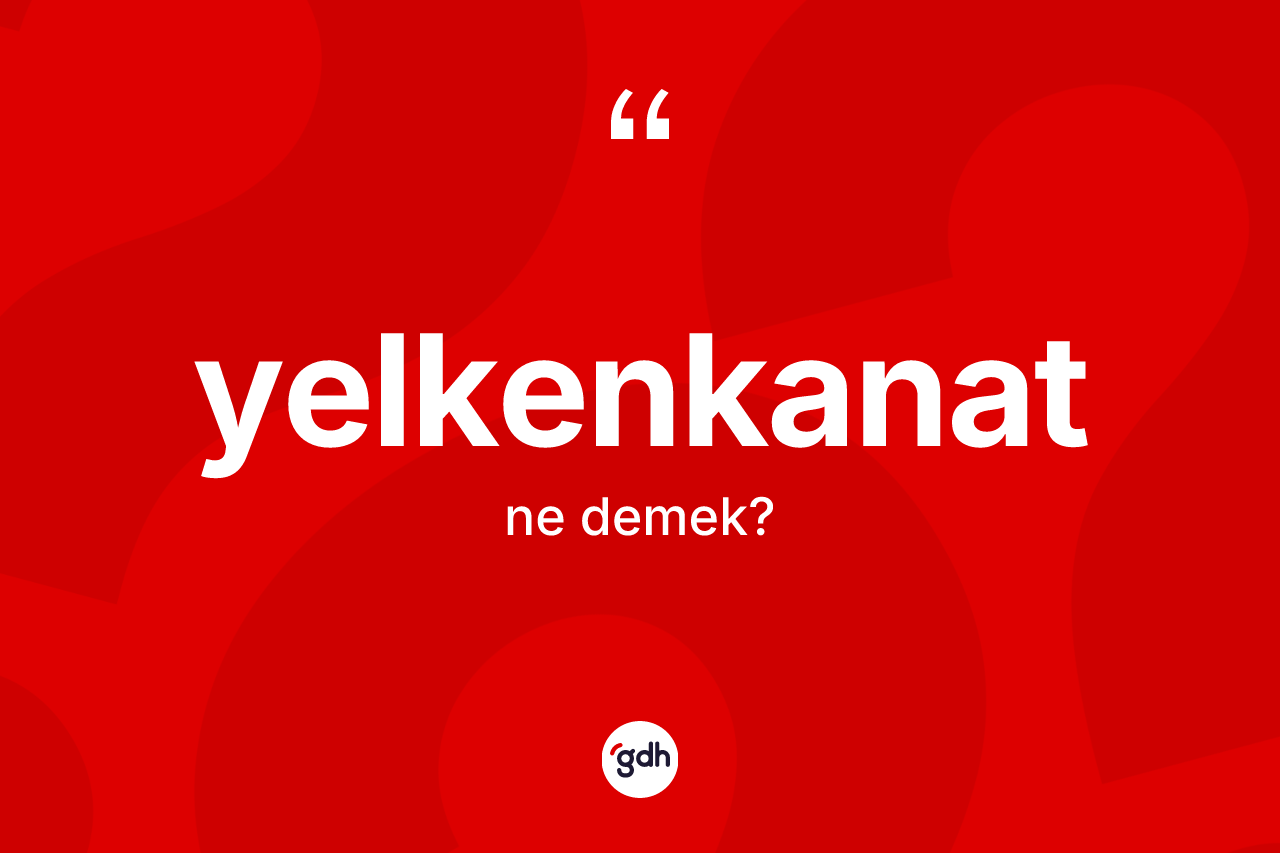 Yelkenkanat kelimesinin anlamı nedir? Yelkenkanadın TDK'ya göre anlamı nedir?