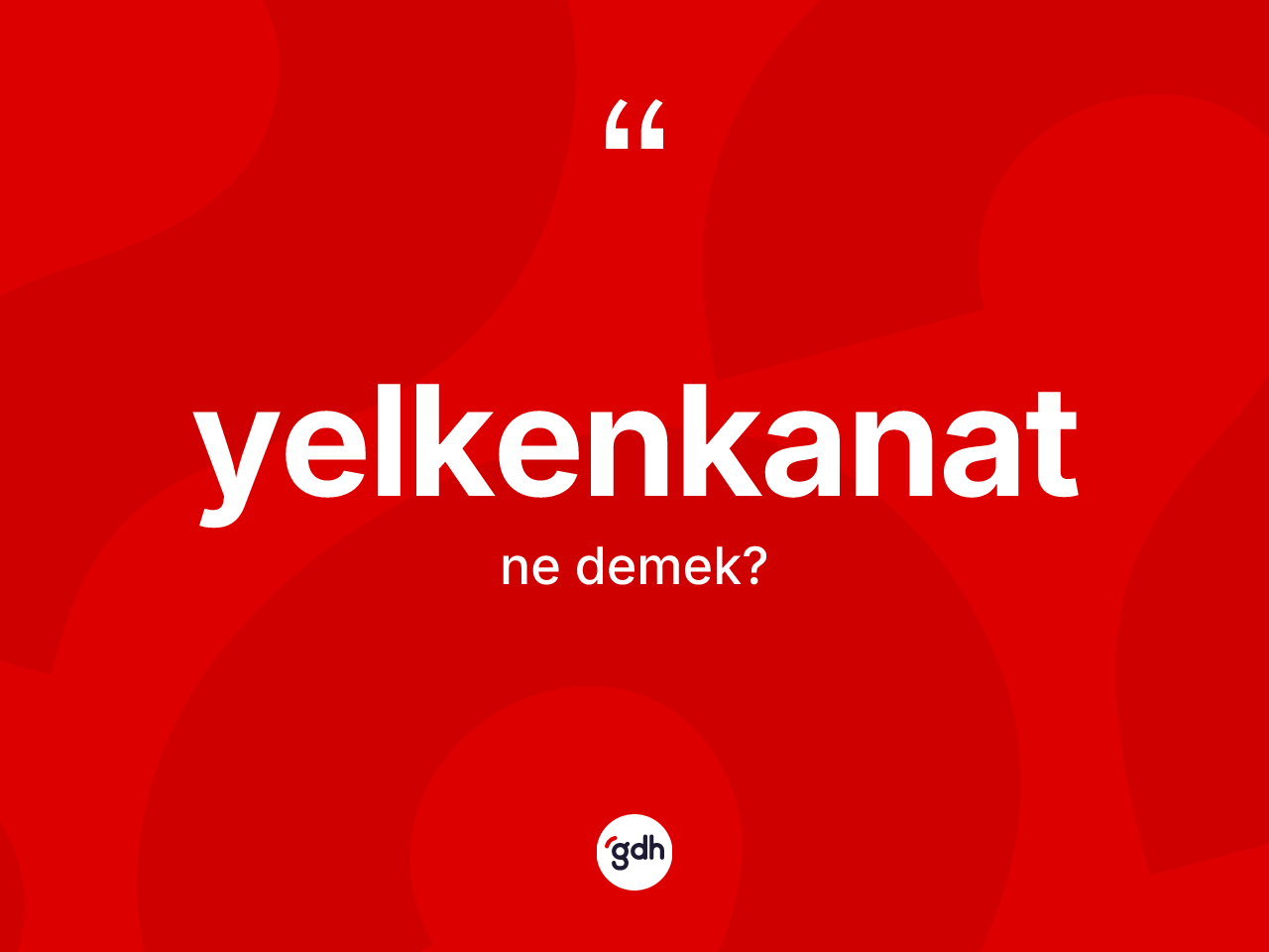 Yelkenkanat kelimesinin anlamı nedir? Yelkenkanadın TDK'ya göre anlamı nedir?